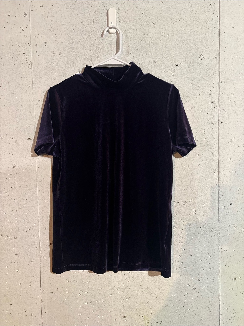 Philosophy Mock Neck Stretchy Velvet Short Sleeve Top | Size: Medium